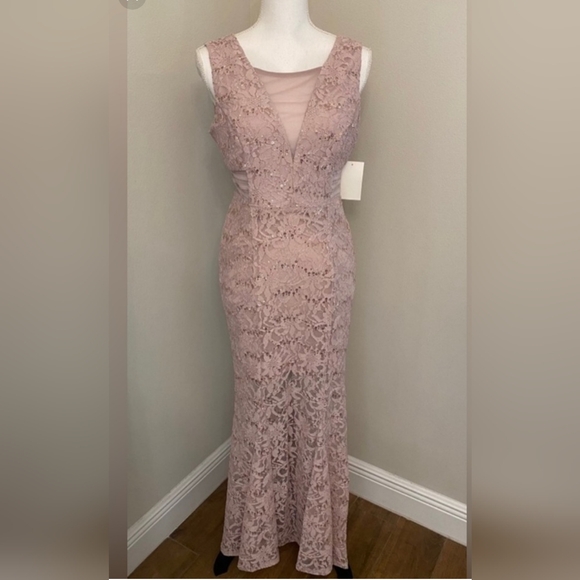 Alexa B Nites Dresses & Skirts - NWT Alexa B Nites Full Length Sequined Lace Dress in Blush Pink